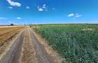 Teren de vanzare intravilan 5000mp localitatea Lazu - 4