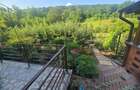 Casa in Luncani cu teren 5500 mp