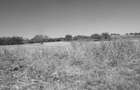 Teren extravilan- 2.500 mp, Daia - 1