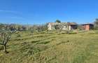 Exclusivitate-Vadu, zona centrala, casa 75mp, teren 1917 mp/31ml deschidere - 31