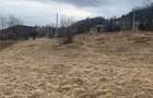 Teren de vanzare in loc. Rogojel, masivul Vladeasa - 1