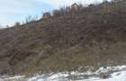 Moeciu, Drumul Carului, teren 3750 mp, 75000 euro - 6