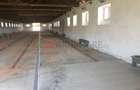 Ferma complet utilată – 30 ha teren comasat Timiș – Comuna Biled