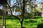 Teren Generos cu Casa in Gruiu - Snagov - 1