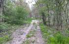 Teren 755 mp, Dem Radulescu, la 7 min de centrul orasului Rm Valcea - 8