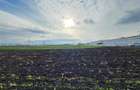 Vanzare Teren pretabil constructie hale, 28.100 mp, Halchiu - 8