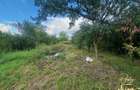 Casa cu anexe si teren de 959 mp de vanzare in Tinca - Bihor - 39