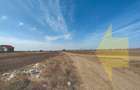 Vanzare teren 26100 mp Magurele - Atomistilor - 8