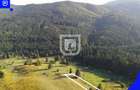 Teren situat in Frasin | BUCOVINA - 2