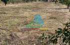 Teren 1500 mp pentru Casă | Petrești, Zonă de Case - 1