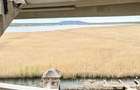 Resort Afacere la cheie gata sa produca Delta Dunării Murighiol - 17