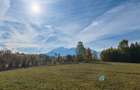 5.800 mp extravilan, Sohodol-Bran, retreat, cabane, off-grid ecoturism, panorama - 4