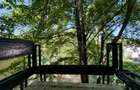 Vila cu 13 camere *4000mp teren* / Piscina / Snagov - 57