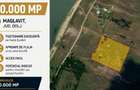 Teren extravilan 10.000 mp ~ Maglavit ~ Dolj - 1