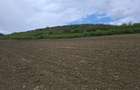 Teren extravilan arabil - Sibiu - Gusterland - 7
