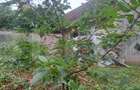 Proprietate cu farmec rural în Beclean, aproape de Făgăraș - Beclean - 8