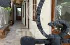 Boutique Guest House istoric – Business la cheie in centrul Clujului (Km 0) - 9