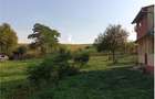 Teren 11.600 mp intravilan, cu casă și utilități pe proprietate – Câmpenești - 2