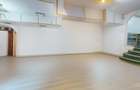 Spatiu comercial cu teren Arcul de Triumf - 15
