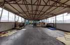 Royal Imobiliare - Vanzare Spatiu Industrial zona Exterior Est - 3