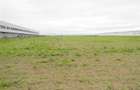 Teren  pentru hale-Ghimbav- Joysonquin,25000mp - 6