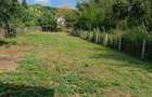 Casă semifinisată, 180 mp, zona Valea Borcutului - 5