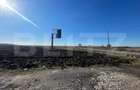 Investitie! Teren intravilan 14814 mp, zona Qfort-Pielesti - 2