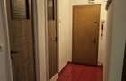 Apartament 2 camere decomandat Raul Doamnei, Drumul Taberei - 10