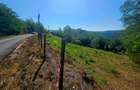Teren intravilan 2322 mp, Păcuri – vedere superbă spre pădure! - 1