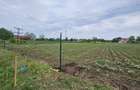 Teren intravilan 1.000 mp | Moara Vlăsiei | Strada Berzei - 2