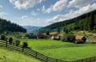 Royal Imobiliare - Vanzare vila/pensiune in zona Harghita - 50