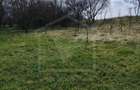 Se vinde casa cu anexe in Valea Calda - 6