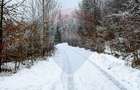 Teren intravilan Moroeni/Pucheni 1794 mp, dublu acces, ideal turism - 6
