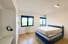 Apartament tip Penthouse de inchiriat 4 camere Soseaua Nordului - 20