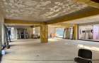 Spatiu Comercial 430 mp Ultracentral langa Vatra Luminoasa - 2