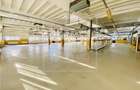 Spatiu industrial si de birouri in zona Terezian - finisaje moderne - 18