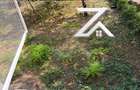 Apartament 3 camere decomandat | Parter | Pelendava