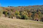 Teren extravilan in localitatea Bulz - 15