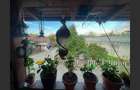 Casa 7 camere, teren 590 mp in Calnic - 4
