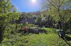 Apartament deosebit cu 3 camere str. Castelului - 40