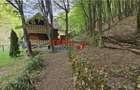 Casă de vacanță la pădure | Teren 891 mp | Valea Ighielului - 15