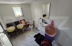 Casă de vânzare Vințu de Jos – 4 camere, teren intravilan 4.700 mp, renovată, mo - 11