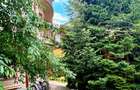 Vila P+2, Berceni-Aparatorii Patriei, locatie deosebita - 18