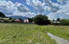 INVESTIȚIE | Teren 5000 mp PUZ APROBAT intravilan - zona Sohodol -Bran - 5