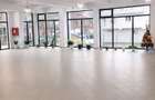 Centru comercial  Premiun / 2960mp // Giurgiu - 8