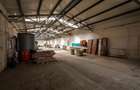 Hala Industriala Renovata + 1500 MP Teren Halchiu - 7