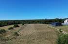 TEREN INTRAVILAN 6.200 MP | MITOCU DRAGOMIRNEI | 180,15 ML DESCHIDERE | 12 KM DE
