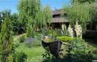 Pensiune agro-turistica in paradisul Deltei Dunarii - 6