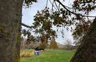 Transilvania Camping, domeniu de 14.400mp,Sanmarghita de Mures:2cladiri, apartam - 51