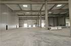 Spatiu Industrial - 5300 mp - Productie - Depozitare - Logistica - Distributie - 3
